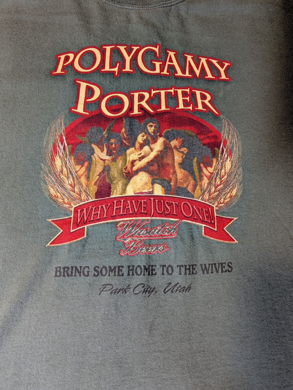 Gildan Polygamy Porter Graphic Tee - Red and Gray